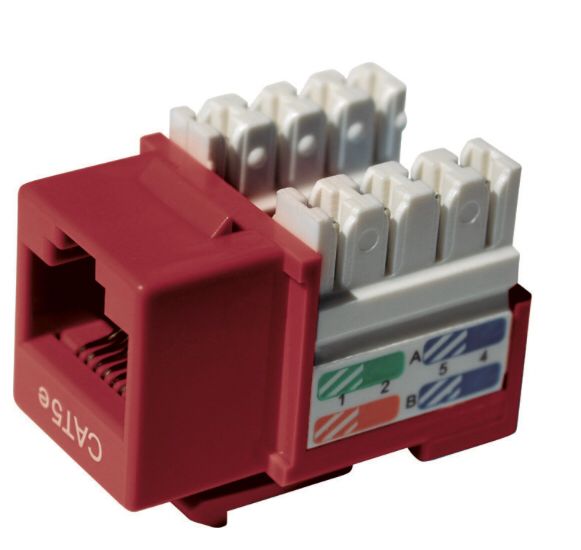 Jack de datos mini com RJ45 CAT5 ROJO -Panduit-