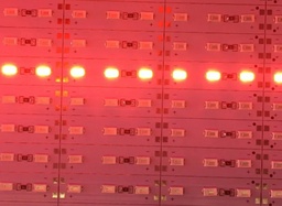 [TIRLED-0004] Tira LED rigida (1m) 12V ROJO